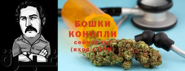 ПСИЛОЦИБИНОВЫЕ ГРИБЫ Костерёво