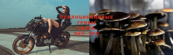 твердый Коряжма