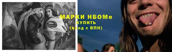 твердый Коряжма