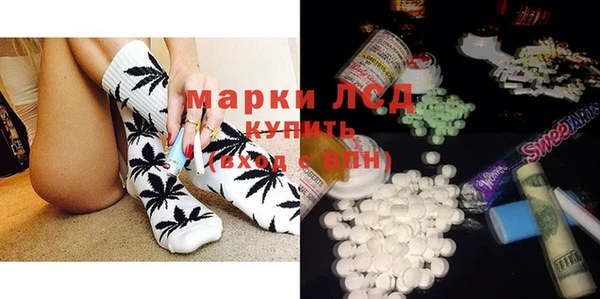 ПСИЛОЦИБИНОВЫЕ ГРИБЫ Костерёво