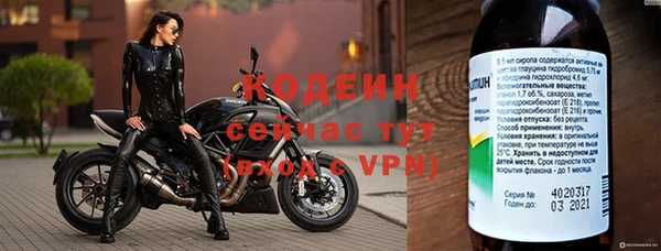 ПСИЛОЦИБИНОВЫЕ ГРИБЫ Костерёво